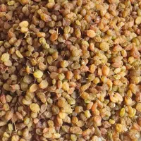 کشمش درجه یک بازاری