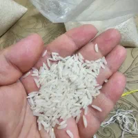 فروش برنج طارم هاشمی درجه یک