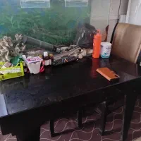 میز غذاخوری۴ حمیدیه