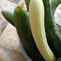 خیار محلی ارگانیک