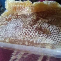 عسل طبیعی