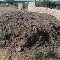 خاک گوسفندی سوخته