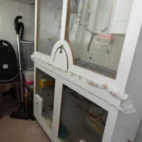 ویترین پرنده