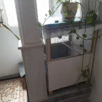 قفس پرنده