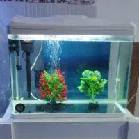 آکواریوم شرکتی ۶۰سانتی
