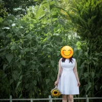 لباس مجلسی|لباس|لاهیجان, گلستان|دیوار