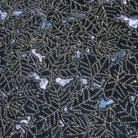 چادر|لباس|سراوان, |دیوار