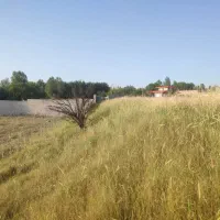 زمین-مسکونی