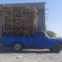 برش درخت|خدمات باغبانی و درختکاری|کازرون, |دیوار