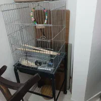 قفس کاسکو