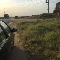 پژو پارس مدل ۸۱