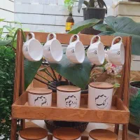 پخش لوازم چوبی و اشپزخانه