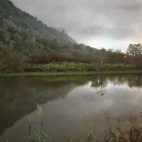 پرستار کودک