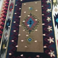 سارس مینا لباس|لباس|لردگان, |دیوار