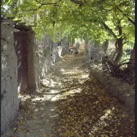 خانه-ویلایی