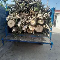 خریدار درخت و چوب