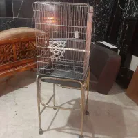 قفس