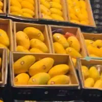 انبه پاکستانی فریز شده اعلا