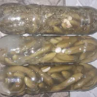 خیارشور خانگی ریز نوشابه ای|خوردنی و آشامیدنی|دهگلان, |دیوار