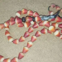 تسبیح هسته خرما وحشی دستساز اصل.