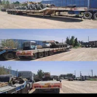 طارق دالی کمرشمن