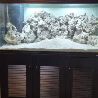 فروش آکواریوم شرکتی زیبا درحدنو