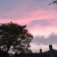 اجاره روزانه ویلا یسنا|اجارهٔ کوتاهمدت ویلا و باغ|تالش, طولارود|دیوار