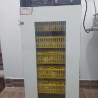 دستگاه جوجه کشی هدایت 210 عددی