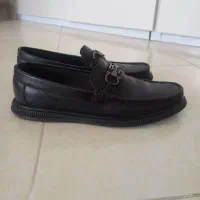 کفش|کیف، کفش، کمربند|سهند, |دیوار