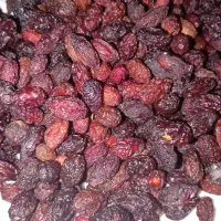 زغال اخته|خوردنی و آشامیدنی|قزوین, |دیوار