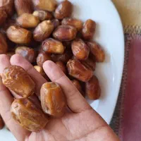 خرمای شهابی|خوردنی و آشامیدنی|قم, آرامستان بهشت معصومه|دیوار