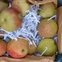 گلابی درگزی سوپر