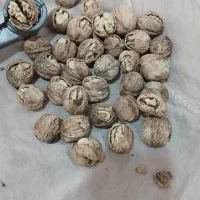 گردو|خوردنی و آشامیدنی|تهران, کامرانیه|دیوار
