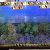 باسلام ۱عدداکواریوم به ابعاد۱۲۰طول عرض۳۰ارتفاع۶۰|ماهی|پاکدشت, شهرک امام رضا|دیوار