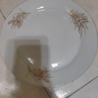 پلوخوری چینی