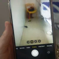 ایفون فیک|موبایل|آران و بیدگل, |دیوار