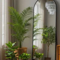 فروش فوری آینه قدی بدلیل انبار گردانی|آینه|بابل, |دیوار