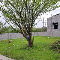 فروش-زمین250-متری-دو-نبش-مشاور-مهدیه-اسماعیلی