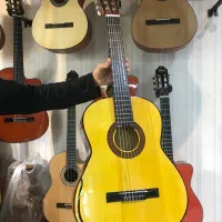 گیتار|گیتار، بیس، امپلیفایر|اراک, |دیوار