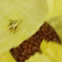 سنجد|خوردنی و آشامیدنی|آزادشهر, |دیوار