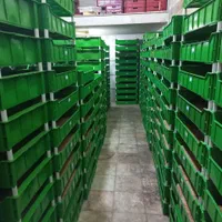 میلورم خشک و زنده و تجهیزات پرورش سوپر ورم|خزنده|تهران, آشتیانی|دیوار