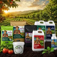 افزایش ۳۷ درصدی تناژ با کود ارگانیک