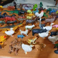 حیوانات اسباب بازی|اسباب‌‌بازی|ری, فیروزآبادی|دیوار