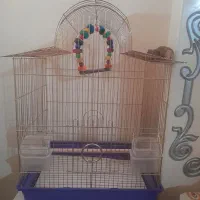 قفس عروس هلندی سایزبزرگ مناسب ۲تاپرنده