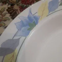 دیس گرد گود فرانسه اصل