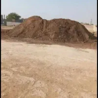 کود حیوانی