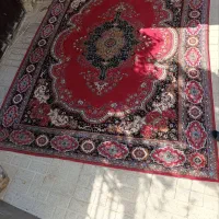 فرش قرمز|فرش|الیگودرز, |دیوار