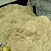 کاه لوبیا چیتی سبز  و درجه یک