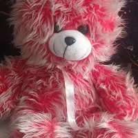 خرس پاندا بزرگ مخصوص ولنتاین|اسباب‌‌بازی|تهران, چیتگر شمالی|دیوار