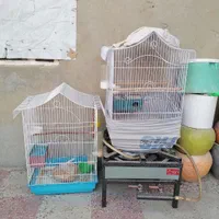 قفس پرنده